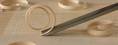 Sculpting Category